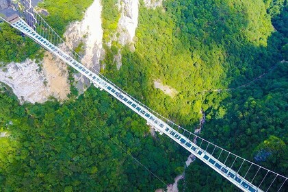 Zhangjiajie to Avatar Mountain and Glass Bridge Private Tour