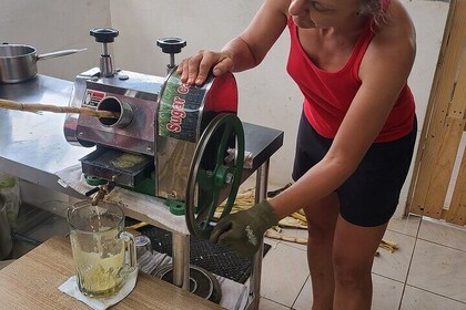 Coffee Farm Tour and Sugarcane Juicing