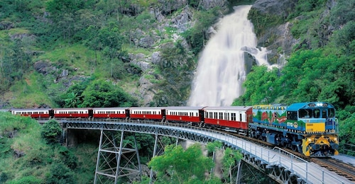 Fra Port Douglas: Kuranda via Scenic Rail eller Skyrail Option