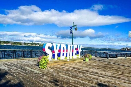 Sydney Sightseer City and Coastal Tour