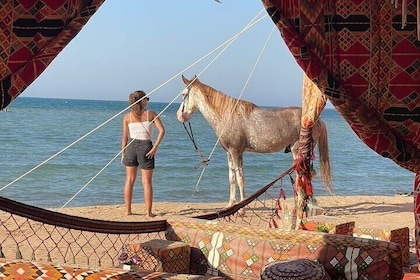 La Tenda Show: Transfer, Horse & Camel Riding, Dinner & More!