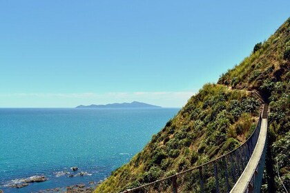 Wellington: Escarpment Track Challenge Guided Hike Coffee + Lunch