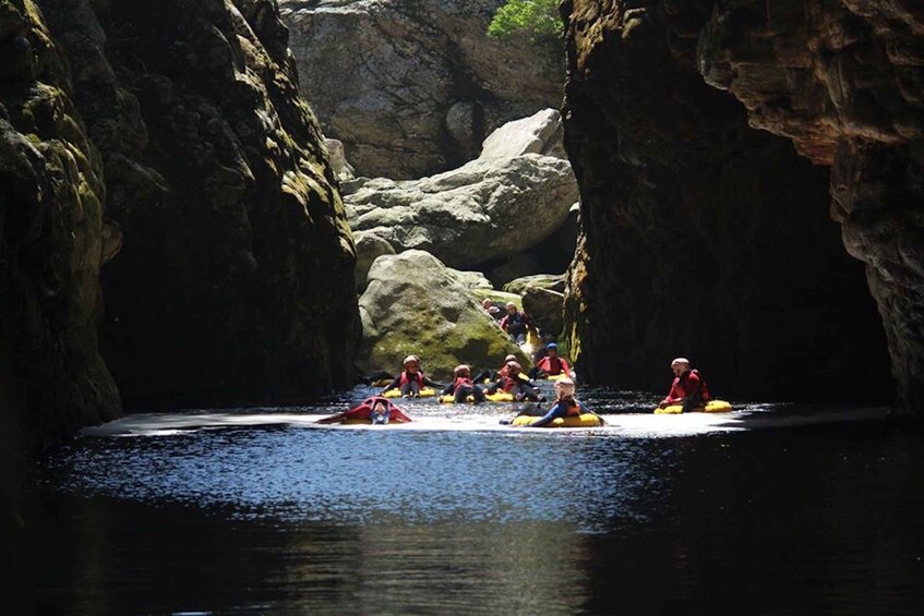 Picture 2 for Activity Storms River: Tsitsikamma National Park Blackwater Tubing