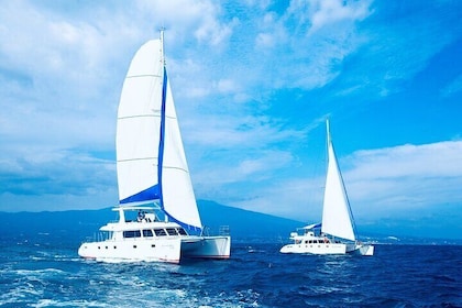 Private Tour in South Jeju including Yacht Cruise