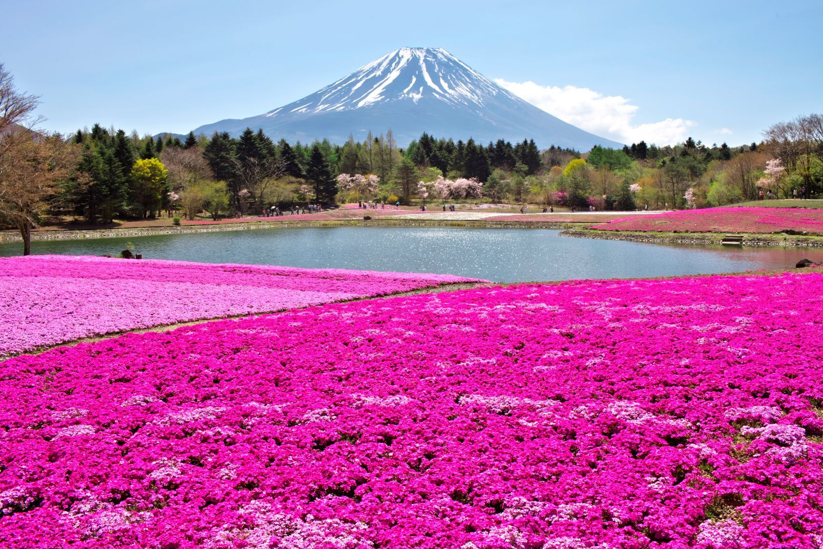 Japan: Mt Fuji G Line: Arakurayama, Sky Ladder, Oshino, Oishi Park & Lawson