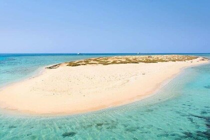Day Trip : Ras Mohamed & White Island Snorkeling Adventure
