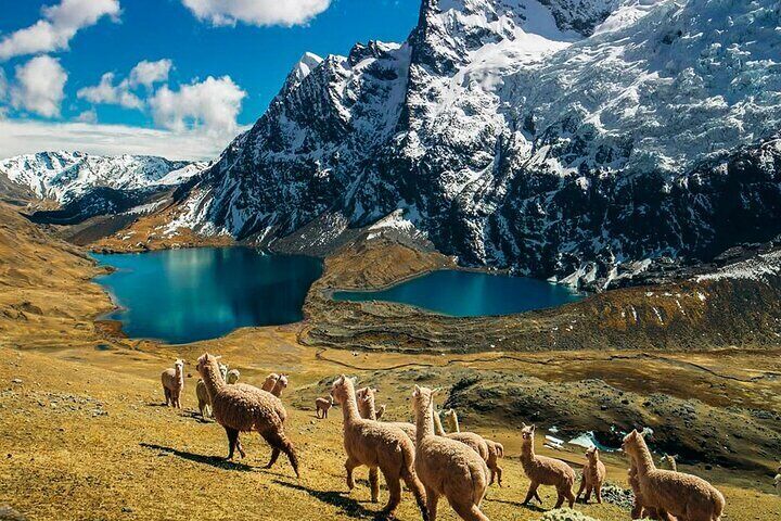 Explore Ausangate Mountain Like Never Before Quad Tour