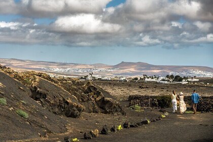 Wine Lovers Winery Tour in Lanzarote