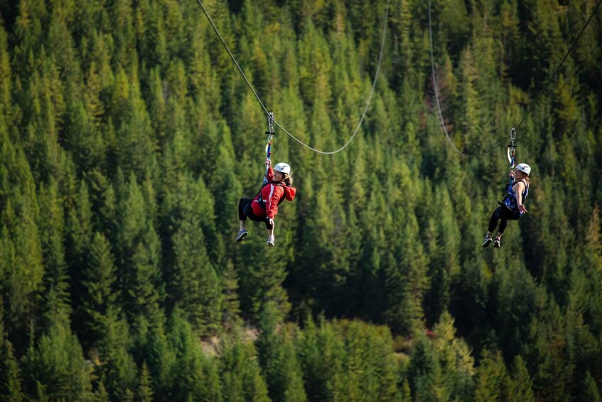 Picture 5 for Activity Whistler: The Longest Zipline in North America