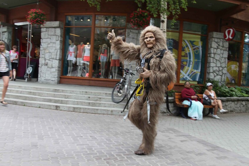 Picture 4 for Activity Whistler: The Longest Zipline in North America