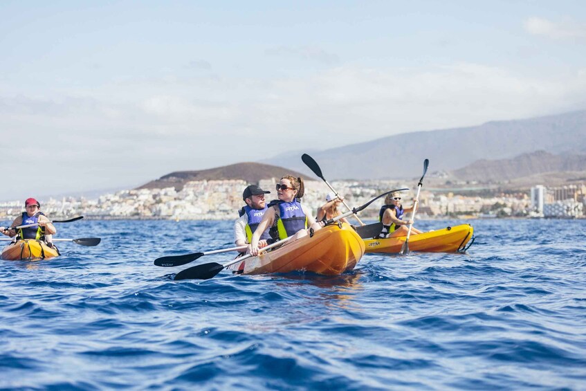 Picture 13 for Activity Tenerife: Kayak Safari and Sea Turtle Snorkeling