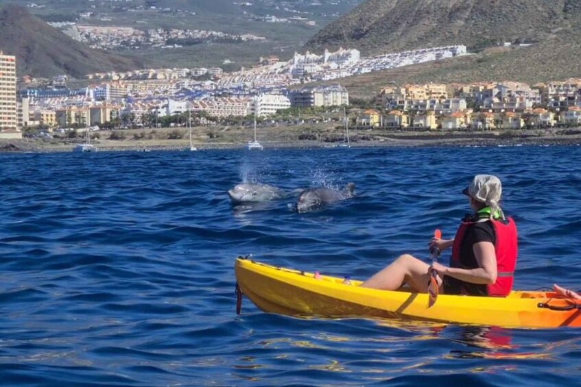 Tenerife: Kayak Safari and Sea Turtle Snorkeling