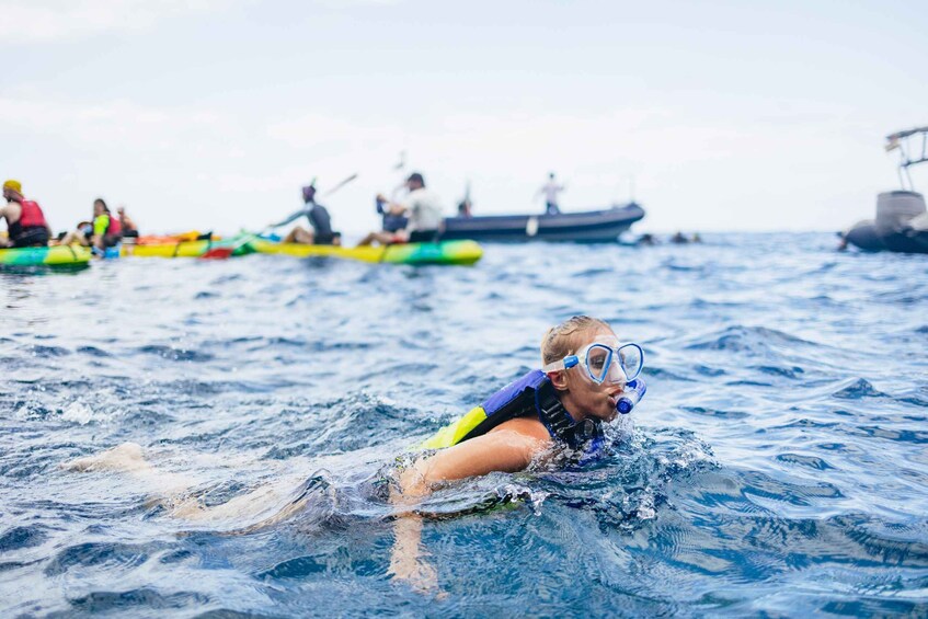 Picture 15 for Activity Tenerife: Kayak Safari and Sea Turtle Snorkeling