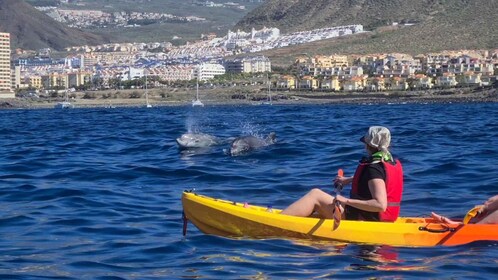 Tenerife: Kajaksafari met zeeschildpadden en snorkelen