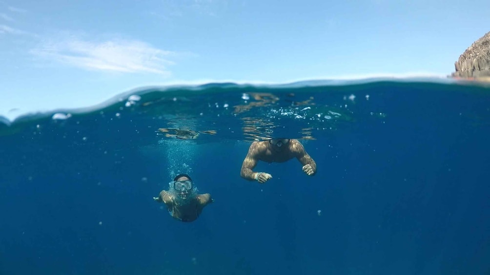 Picture 16 for Activity Tenerife: Kayak Safari and Sea Turtle Snorkeling