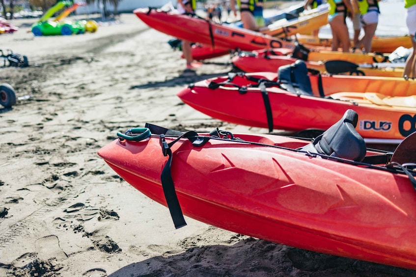 Picture 17 for Activity Tenerife: Kayak Safari and Sea Turtle Snorkeling