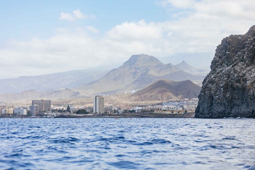 Picture 22 for Activity Tenerife: Kayak Safari and Sea Turtle Snorkeling
