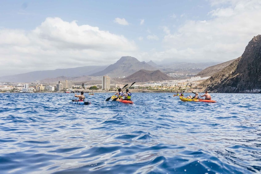 Picture 10 for Activity Tenerife: Kayak Safari with Sea Turtles and Snorkeling