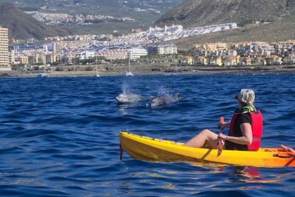 Tenerife: Kajak-safari og snorkling med havskildpadder