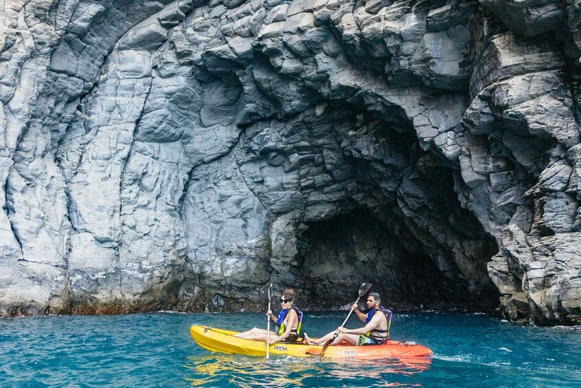 Picture 10 for Activity Tenerife: Kayak Safari and Sea Turtle Snorkeling