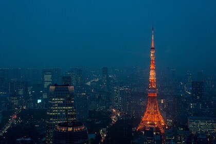 Explore Tokyo In Evening – Private Tour with Guide (7/12)