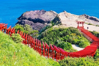 Northern Kyushu Day Tour Akiyoshido Cave and Motonosumi Inari