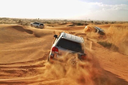 Desert Safari Dubai with Live Shows, Dune Bashing & BBQ Dinner