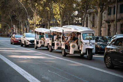 Official Tuk Tuk BCN l Barcelona 2 Hours City Tour