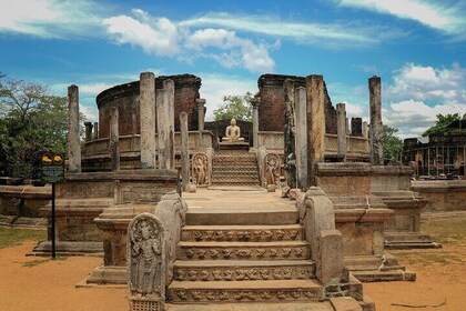 Private Polonnaruwa Ruins & Minneriya Safari Tour from Sigiriya