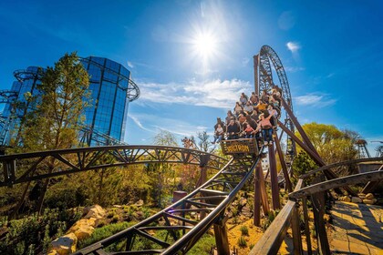 Rouille : Billet d'entrée à l'Europa-Park