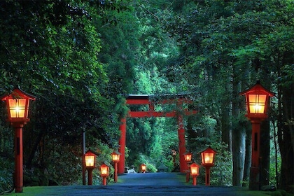 Mt Fuji and Hakone Day Trip from Tokyo with Ropeway Experience