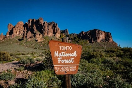 From Phoenix Private Offroad Sonoran Desert and Sunset Tour