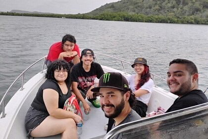 Bioluminescent Bay Night Boat Charter in La Parguera with Captain
