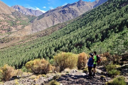 Atlas Mountains: 3-Hour Hiking & Traditional Lunch