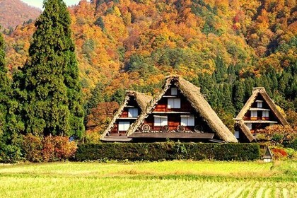Takayama Day Trip with Shirakawa-go and Kobe Beef Lunch