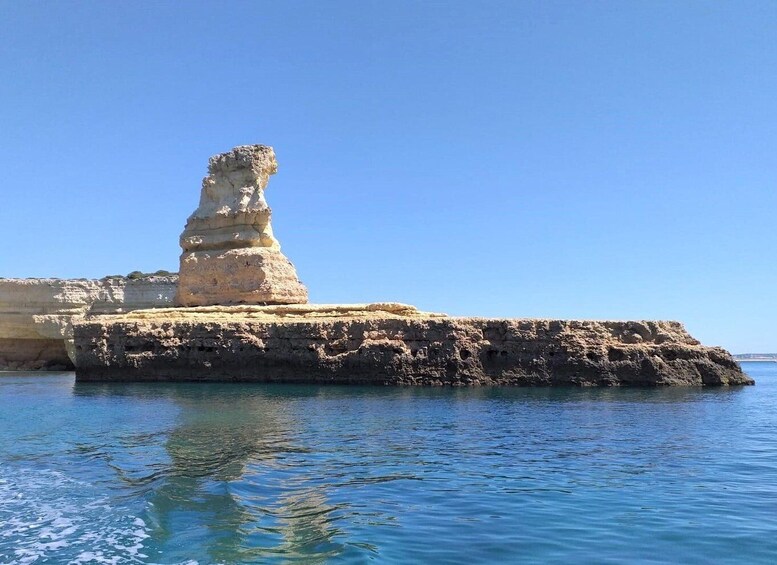 Picture 8 for Activity Albufeira: Dolphin Watching and Benagil Cave Boat Cruise