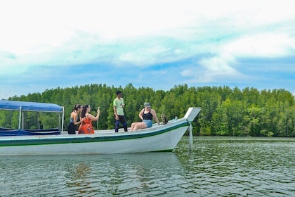 Koh Lanta Mangrove and Monkey Point Longtail Boat Tour