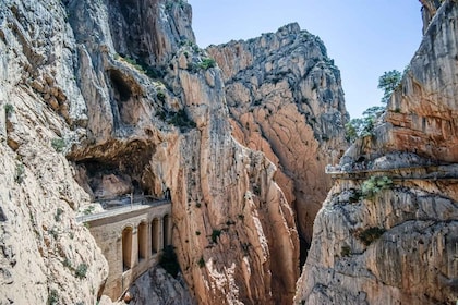 Depuis Málaga : Caminito del Rey Day Trip et visite guidée