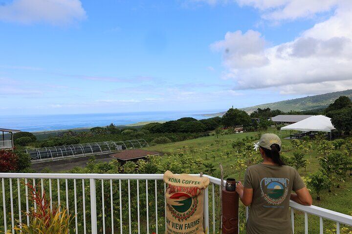 Kona Coffee Farm Tour from Tree to Tasting Room