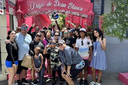 Puerto Plata City Tours from Amber Cove and Taino Bay