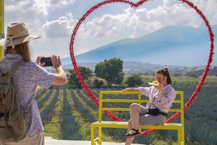 Stunning viewpoint of the Tequila volcano and the agavero landscape, cultural heritage. 