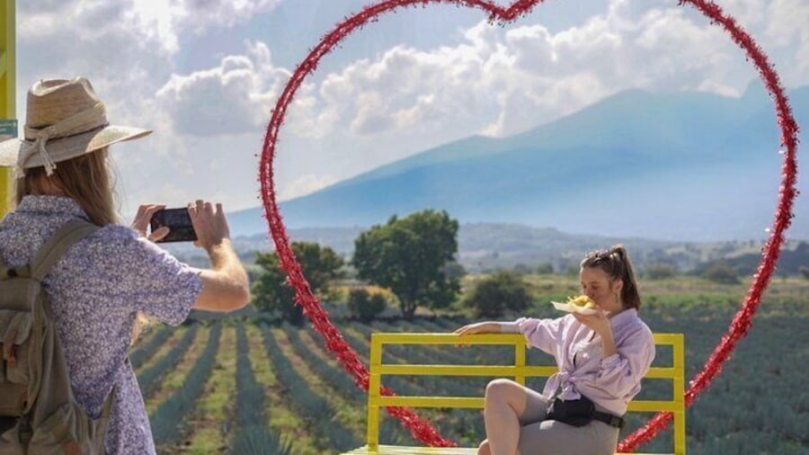 Stunning viewpoint of the Tequila volcano and the agavero landscape, cultural heritage.