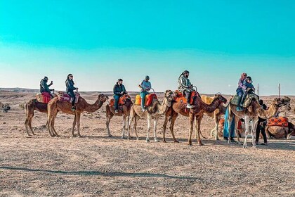 Marrakech : Agafay Desert Camel Ride with Dinner and fire Show