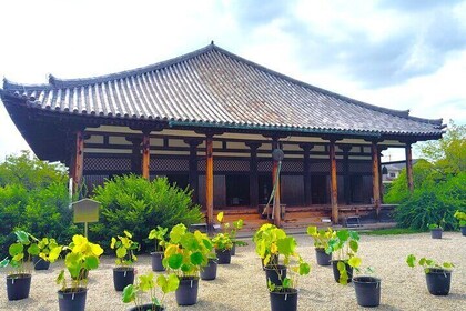 Gango-ji Temple World Heritage Tour & Naramachi Old Town Walk