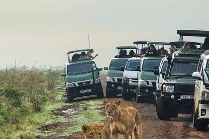 Nairobi National Park Tour Half Day