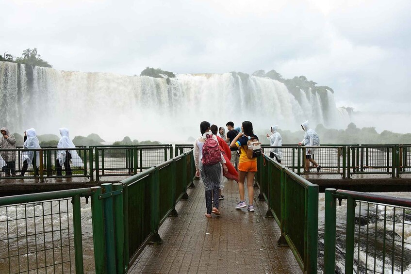 Picture 4 for Activity From Puerto Iguazu: Half-Day Brazilian Falls Excursion