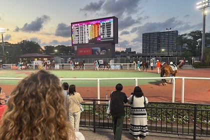 Horse Racing Tour with Local Fans in Tokyo, Oi Racecourse