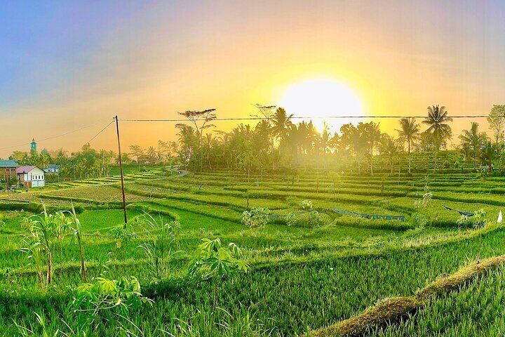 Lombok: Tetebatu Walking Tour Rice Terraces and Hidden Waterfalls