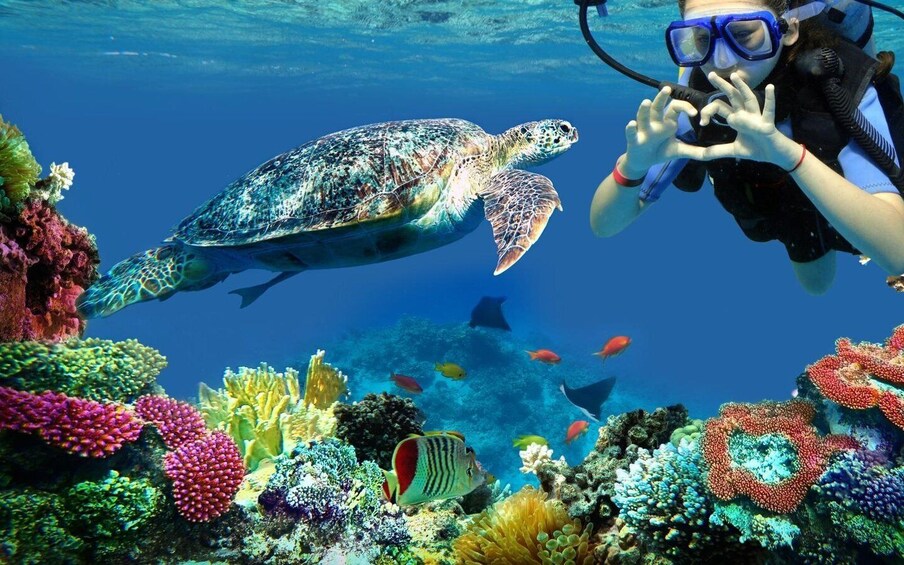 Picture 42 for Activity Hurghada: Giftun Island Tour with Snorkeling & Buffet Lunch