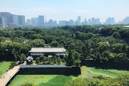 From the Imperial Palace to Odaiba : Time travel to Tokyo